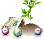 All Bingo Club Plant a Tree