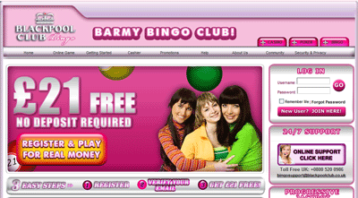 Online Bingo Compared at Bingobase