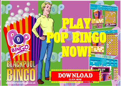 Online Bingo Compared at Bingobase