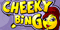 Play Cheeky Bingo
