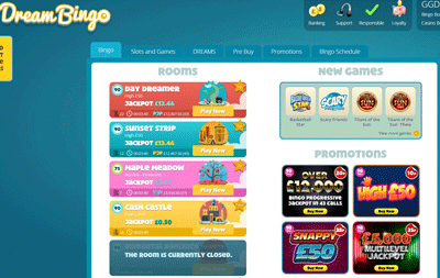 Online Bingo Compared at Bingobase