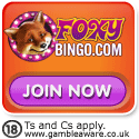 Foxy Bingo Toy