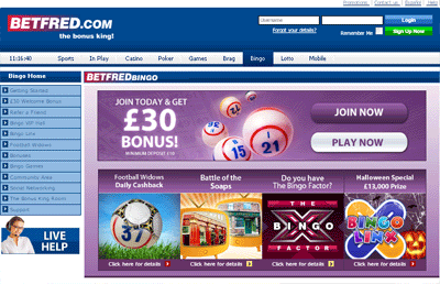 Online Bingo Compared at Bingobase