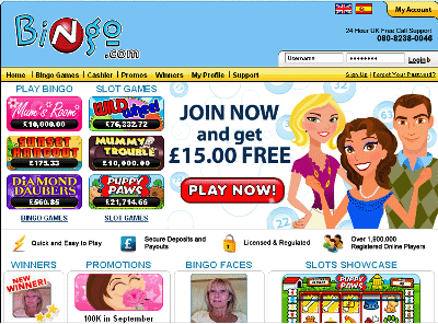 Online Bingo Compared at Bingobase
