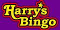 Free Bingo at Harrys Bingo