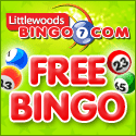 Play at Littlewoods Bingo
