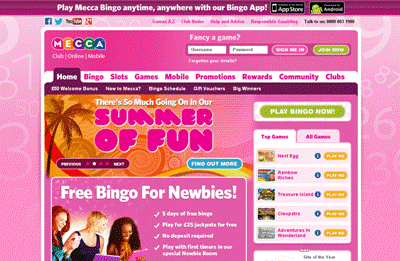 Online Bingo Compared at Bingobase