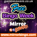 Mirror Bingo