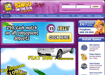Online Bingo Compared at Bingobase