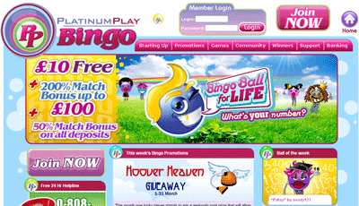 Online Bingo Compared at Bingobase