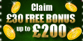 Free Bingo at Polo Bingo