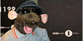 Roland Rat Bingo Review