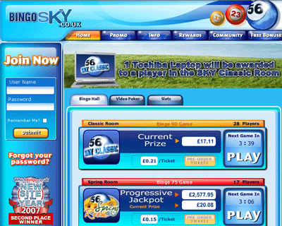 Online Bingo Compared at Bingobase