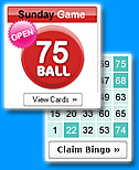 Play the original daily bingo game