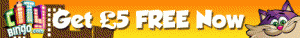 �5 Free at City Bingo