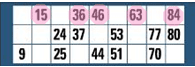 online bingo 90 ball - One line