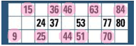 online bingo 90 ball - Two Lines