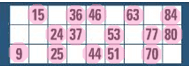online bingo 90 ball - Full House