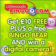 Littlewoods Bingo Free Teddy